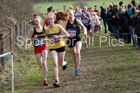 Girls under-15s 2019 British Athletics Inter Counties Cross Country, Prestwood Hall, Loughborough. Photo:  David T. Hewitson/Sports for All Pics